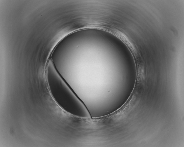 X0000110910908200906181340