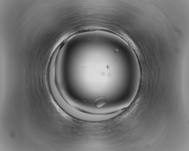 X0000110910909200906181340