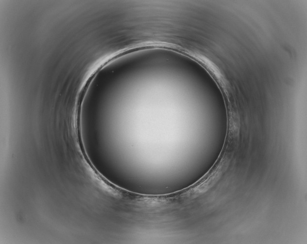 X0000110910910200906181340