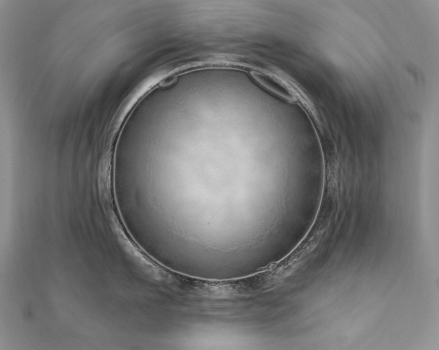 X0000110910911200906181340