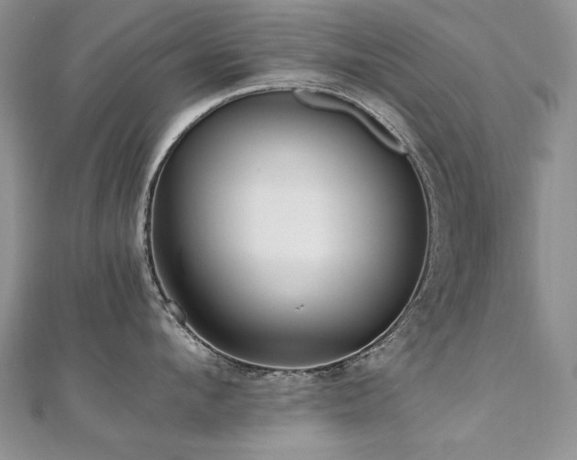 X0000110910912200906181340