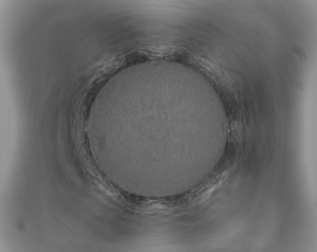 X0000110910913200906181340