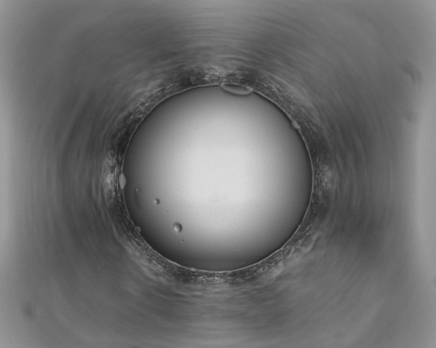 X0000110910914200906181340