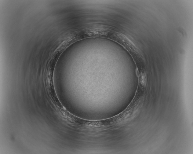 X0000110910915200906181340