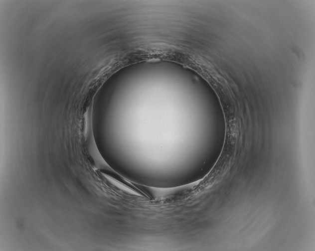 X0000110910916200906181340