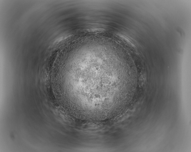 X0000110910917200906181340