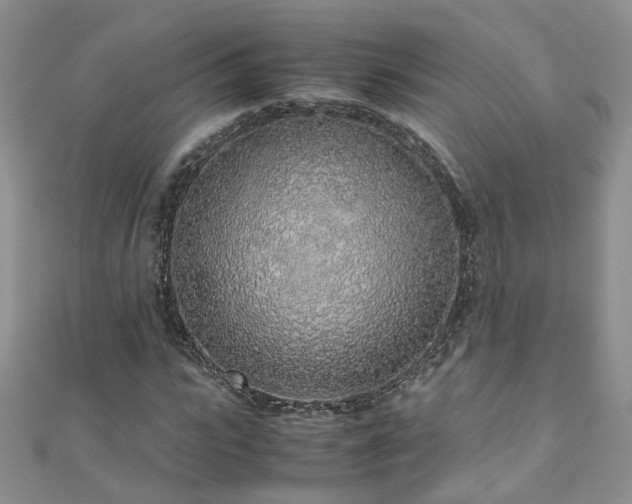 X0000110910919200906181340