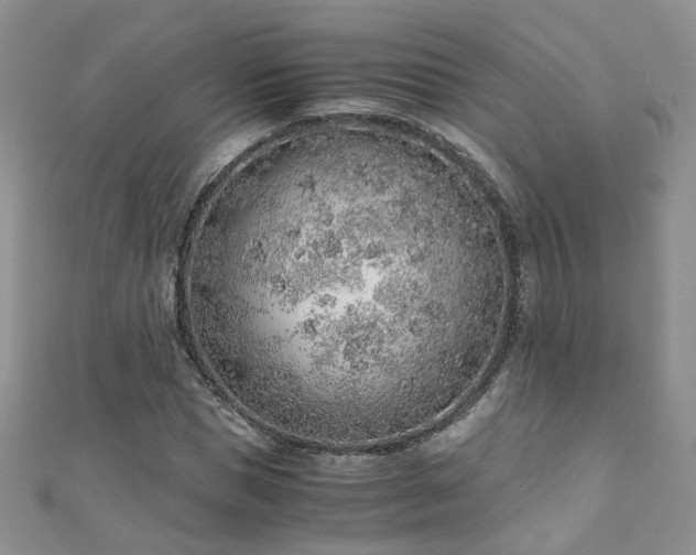 X0000110910921200906181340