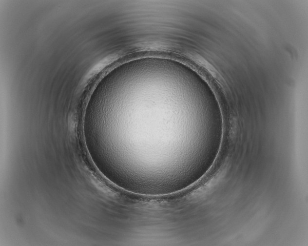 X0000110910922200906181340