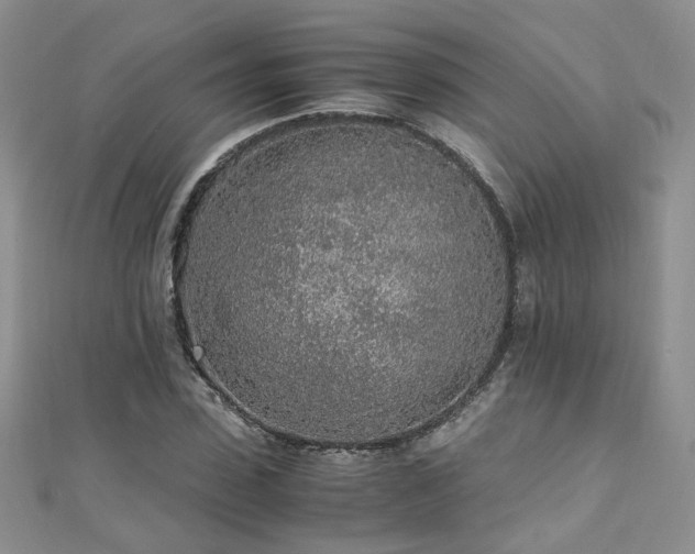 X0000110910923200906181340