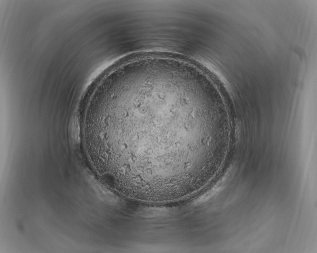 X0000110910925200906181340