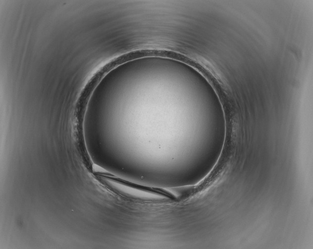 X0000110910926200906181340