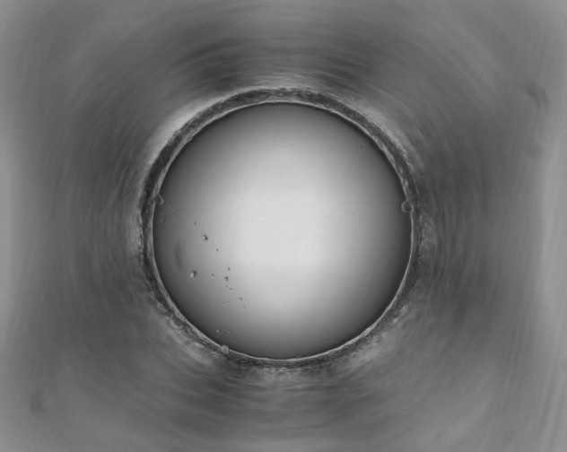 X0000110910927200906181340