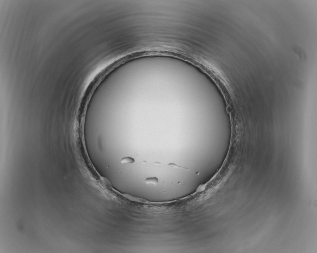 X0000110910928200906181340