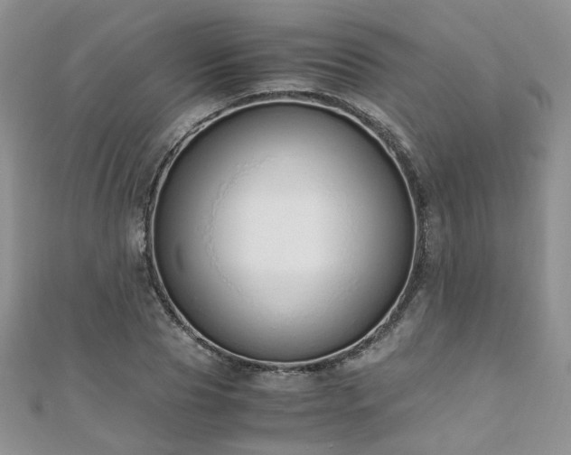 X0000110910929200906181340