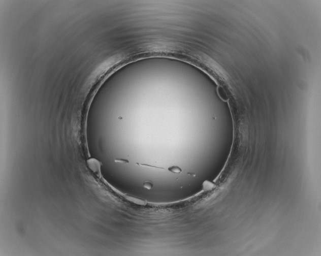 X0000110910930200906181340