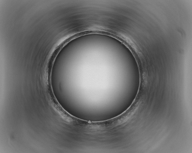 X0000110910931200906181340