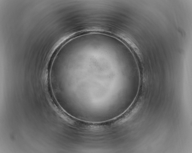 X0000110910933200906181340