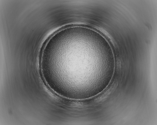 X0000110910935200906181340