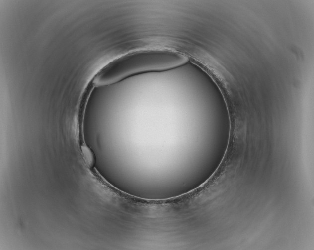 X0000110910936200906181340