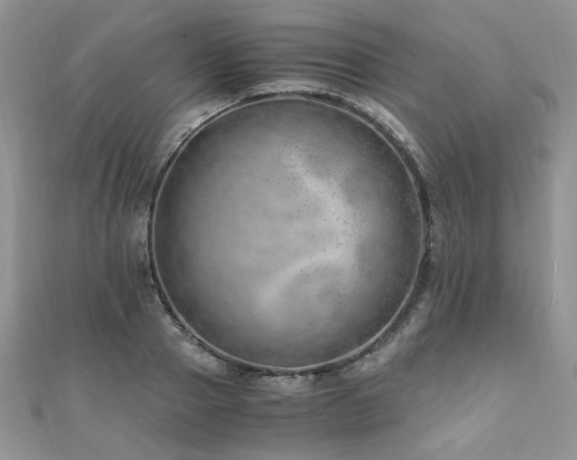 X0000110910937200906181340