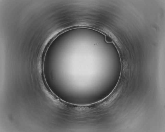 X0000110910939200906181340