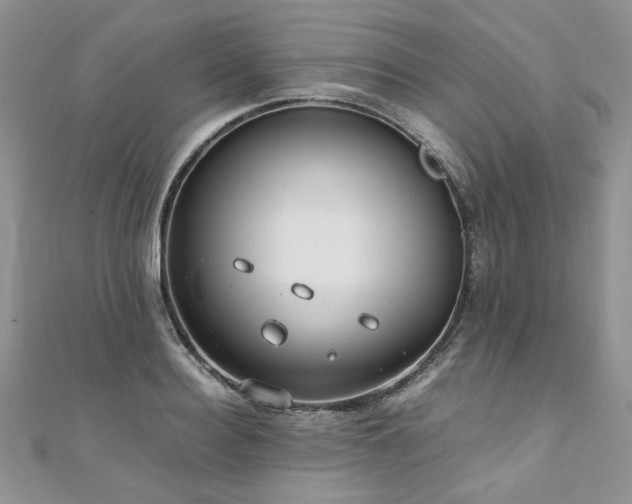 X0000110910940200906181340