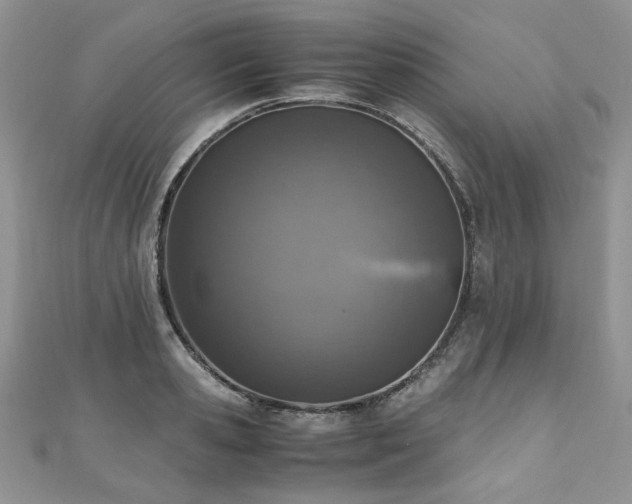 X0000110910941200906181340