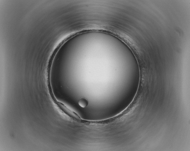 X0000110910942200906181340