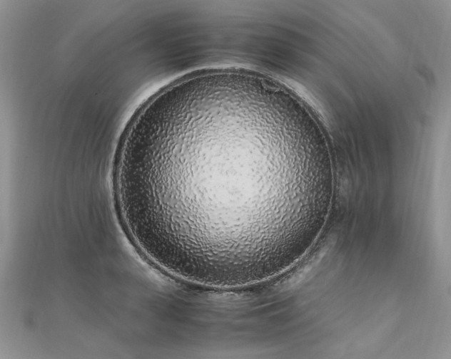 X0000110910943200906181340