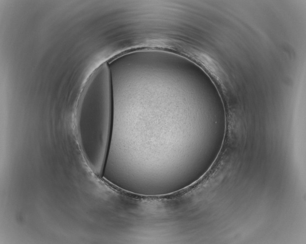 X0000110910944200906181340