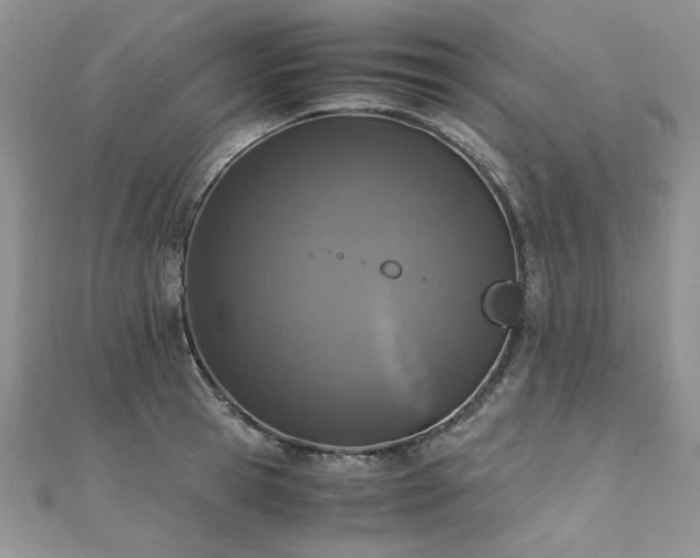 X0000110910945200906181340