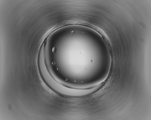 X0000110910946200906181340