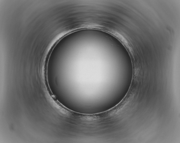 X0000110910947200906181340