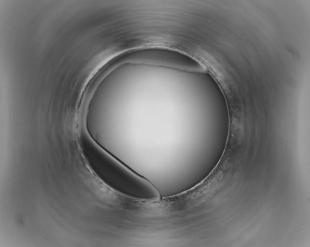 X0000110910948200906181340