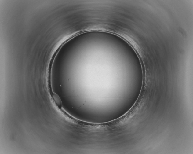 X0000110910949200906181340