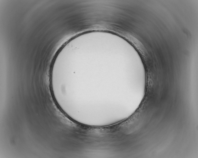 X0000110910950200906181340