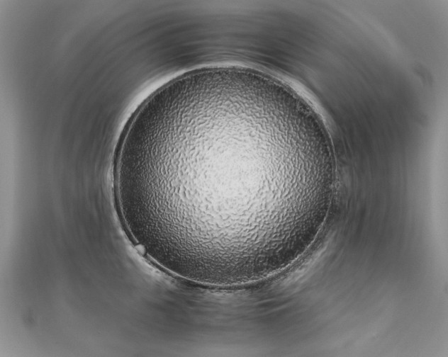 X0000110910951200906181340