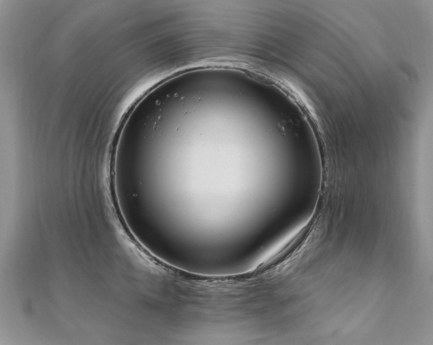 X0000110910952200906181340