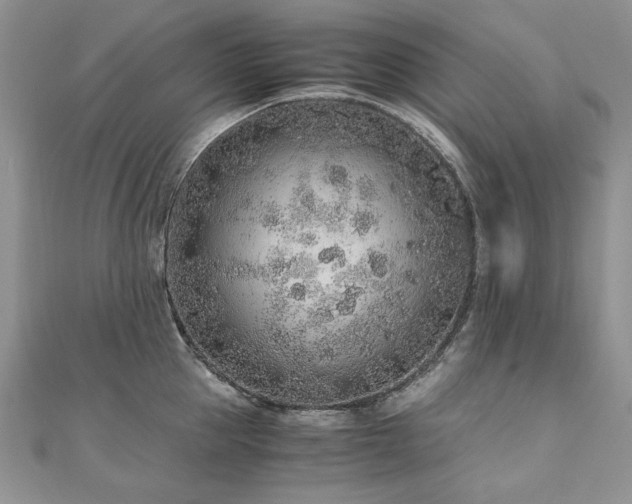 X0000110910953200906181340