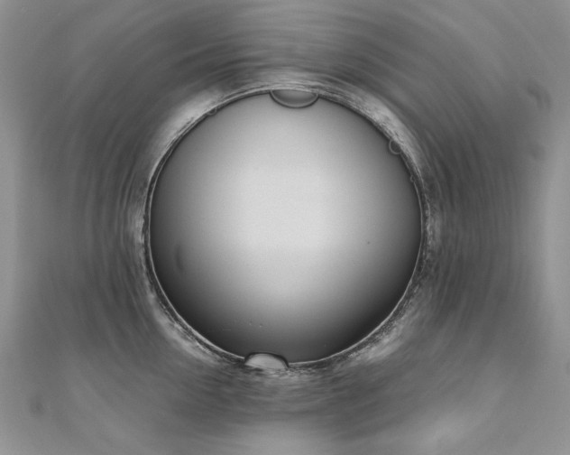 X0000110910954200906181340