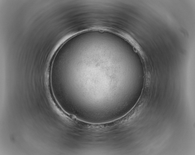 X0000110910955200906181340