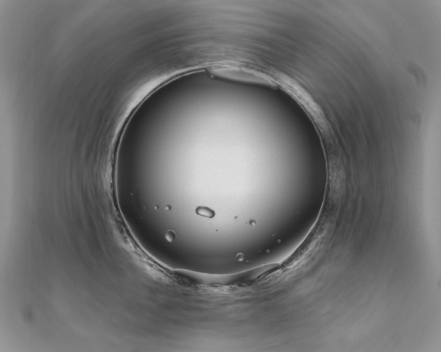 X0000110910956200906181340