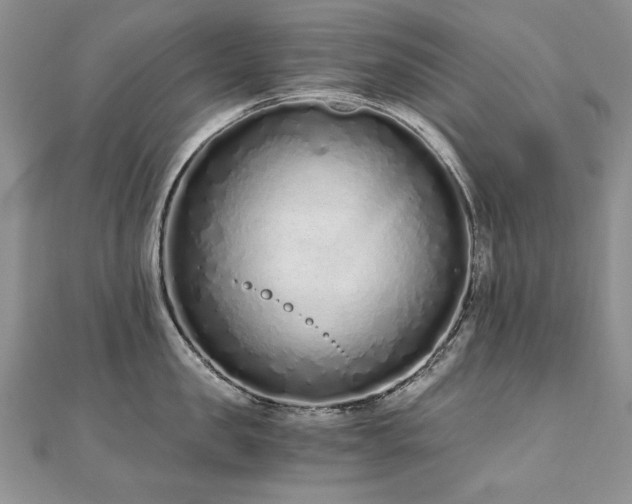 X0000110910957200906181340