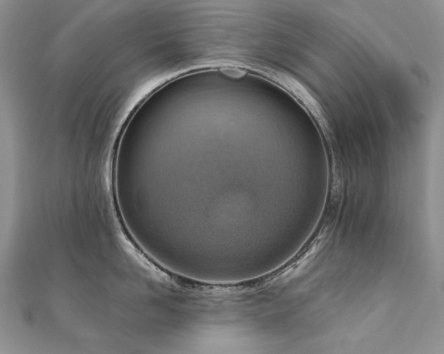 X0000110910958200906181340