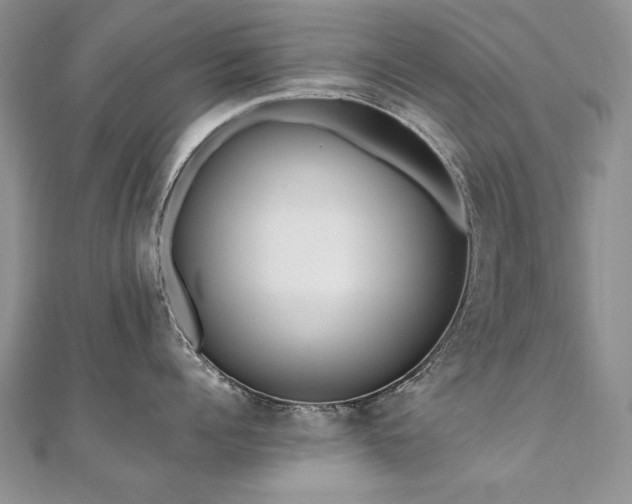 X0000110910960200906181340