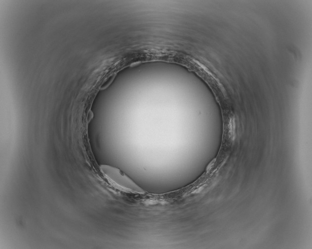 X0000110910961200906181340