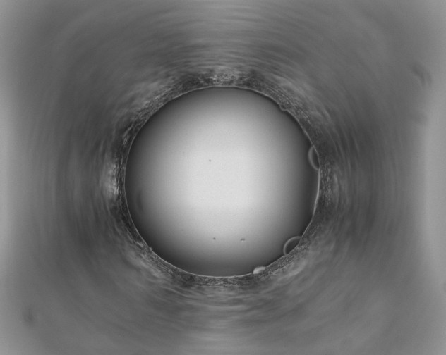 X0000110910962200906181340