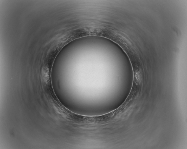 X0000110910963200906181340