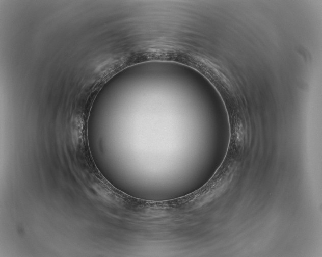 X0000110910964200906181340